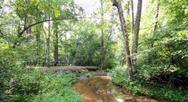 TBA BETTYS BRANCH RD #X, ARVONIA, Virginia 23004, ,Land,For sale,TBA BETTYS BRANCH RD #X,668035 MLS # 668035