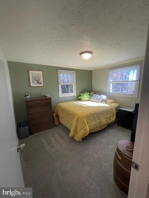 11193 HENRY GRIFFIN RD, KING GEORGE, Virginia 22485, 3 Bedrooms Bedrooms, ,1 BathroomBathrooms,Residential,For sale,11193 HENRY GRIFFIN RD,VAKG2006902 MLS # VAKG2006902