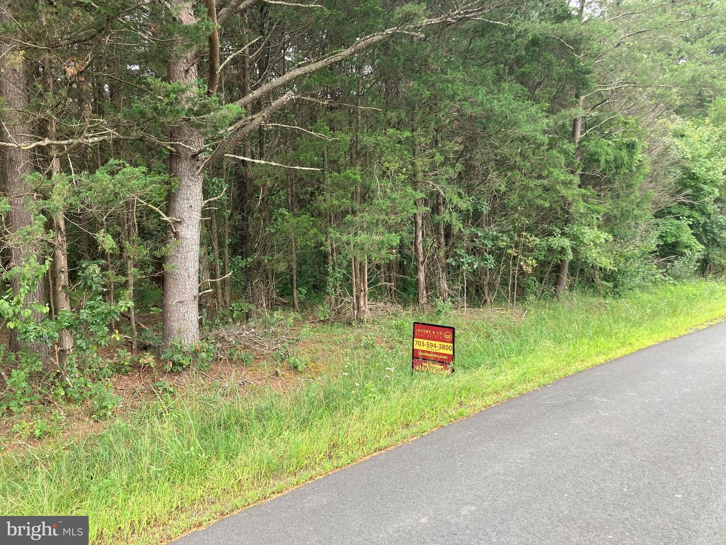 16601 GAINES RD, BROAD RUN, Virginia 20137, ,Land,For sale,16601 GAINES RD,VAPW2101580 MLS # VAPW2101580