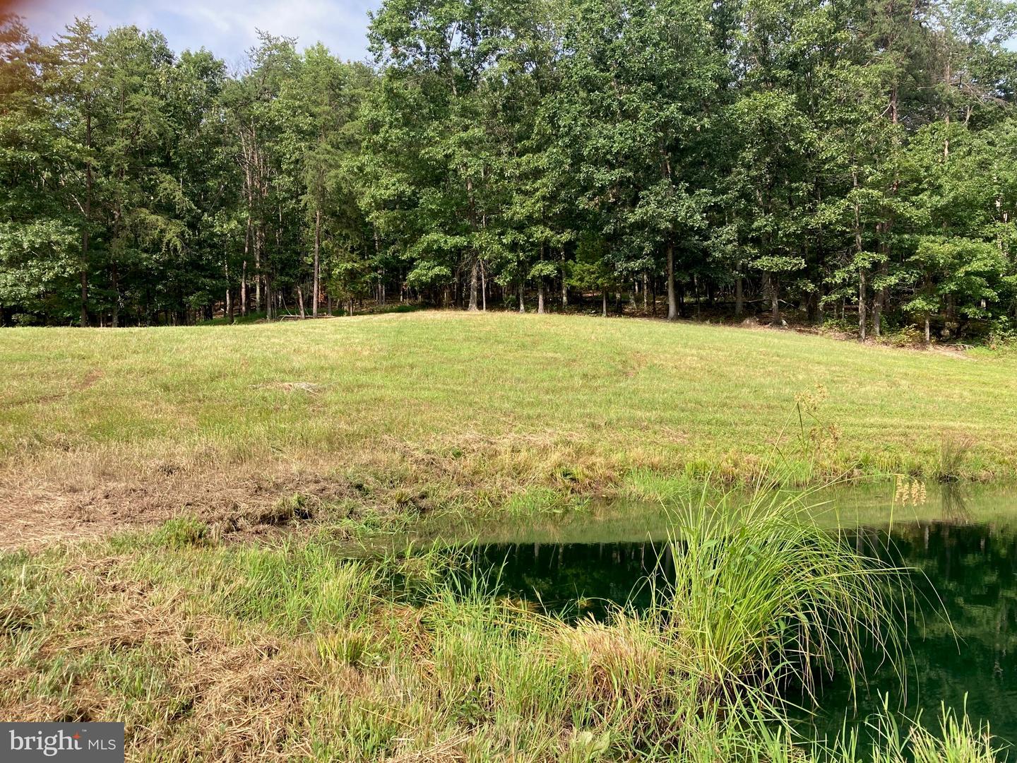 000 LIGHT RD, WINCHESTER, Virginia 22603, ,Land,For sale,000 LIGHT RD,VAFV2036190 MLS # VAFV2036190