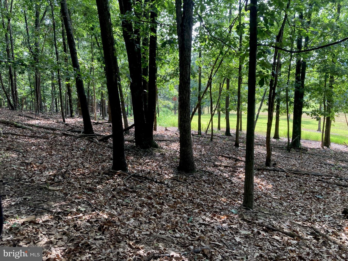 000 LIGHT RD, WINCHESTER, Virginia 22603, ,Land,For sale,000 LIGHT RD,VAFV2036190 MLS # VAFV2036190
