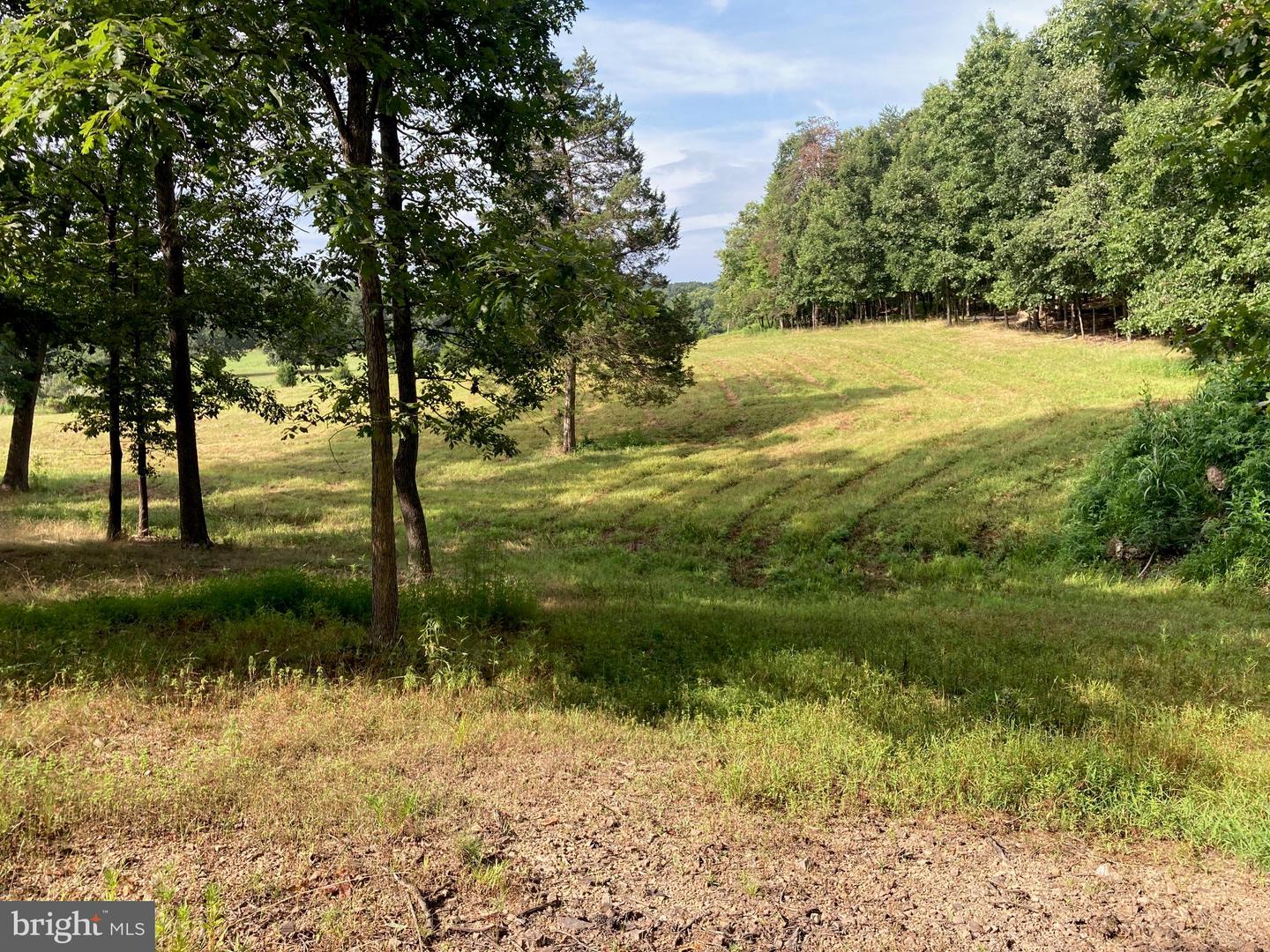 000 LIGHT RD, WINCHESTER, Virginia 22603, ,Land,For sale,000 LIGHT RD,VAFV2036190 MLS # VAFV2036190