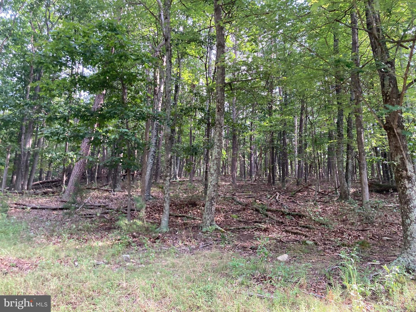 000 LIGHT RD, WINCHESTER, Virginia 22603, ,Land,For sale,000 LIGHT RD,VAFV2036190 MLS # VAFV2036190
