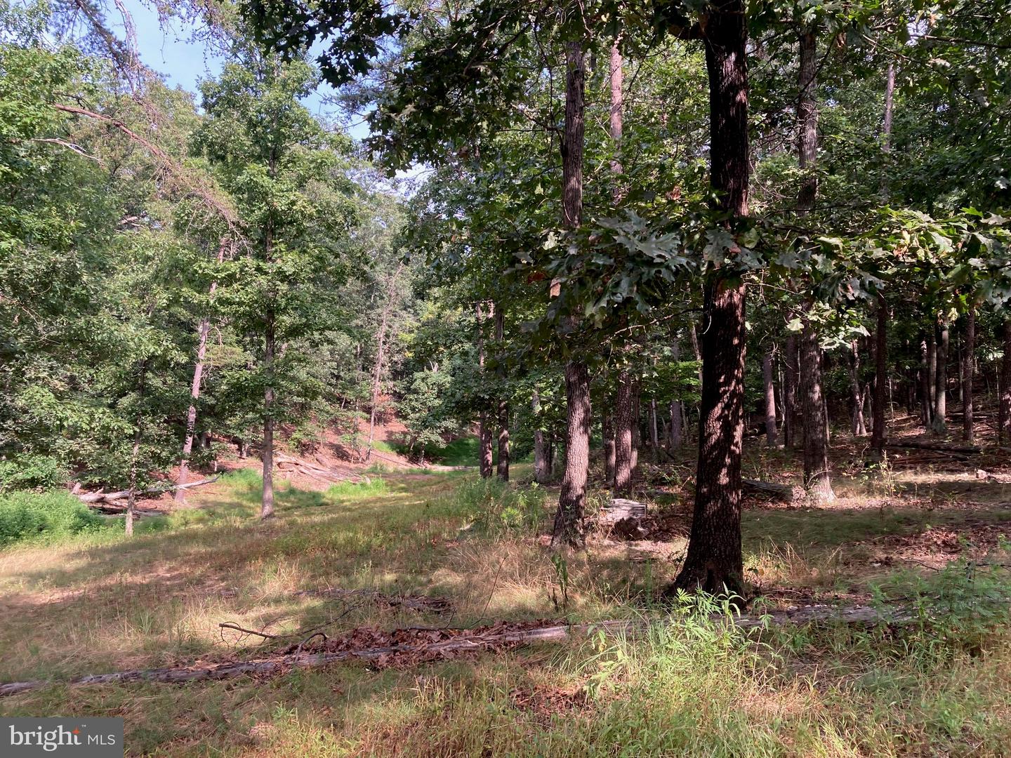 000 LIGHT RD, WINCHESTER, Virginia 22603, ,Land,For sale,000 LIGHT RD,VAFV2036190 MLS # VAFV2036190