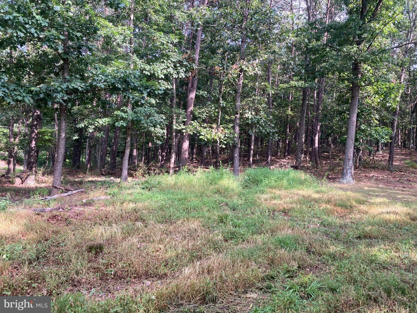 000 LIGHT RD, WINCHESTER, Virginia 22603, ,Land,For sale,000 LIGHT RD,VAFV2036190 MLS # VAFV2036190