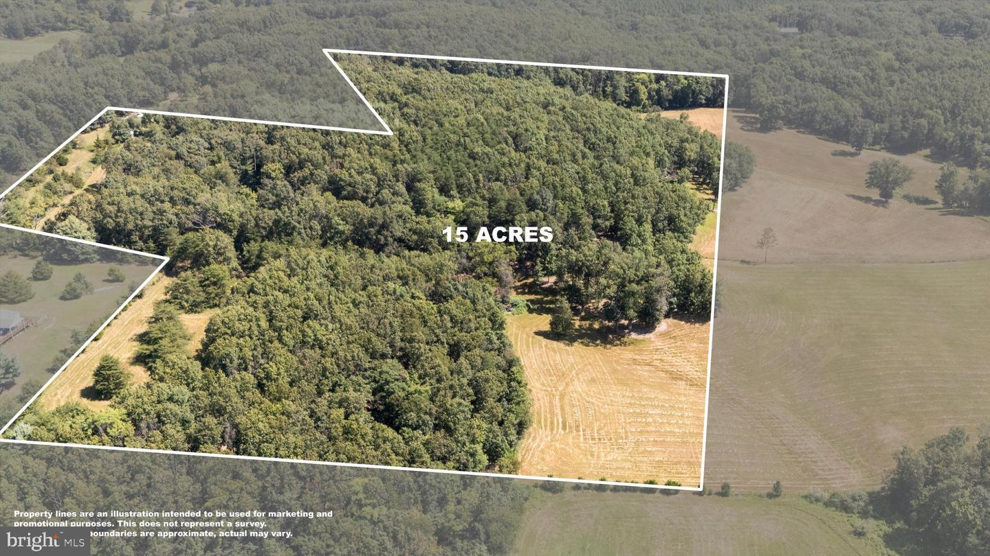 000 LIGHT RD, WINCHESTER, Virginia 22603, ,Land,For sale,000 LIGHT RD,VAFV2036190 MLS # VAFV2036190