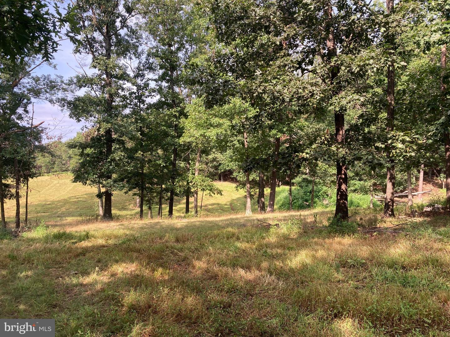 000 LIGHT RD, WINCHESTER, Virginia 22603, ,Land,For sale,000 LIGHT RD,VAFV2036190 MLS # VAFV2036190