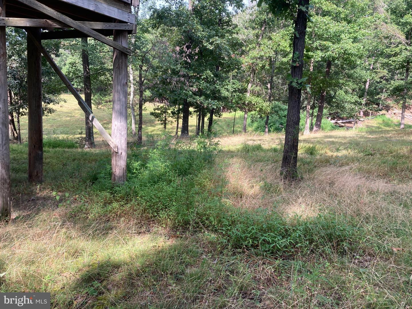 000 LIGHT RD, WINCHESTER, Virginia 22603, ,Land,For sale,000 LIGHT RD,VAFV2036190 MLS # VAFV2036190