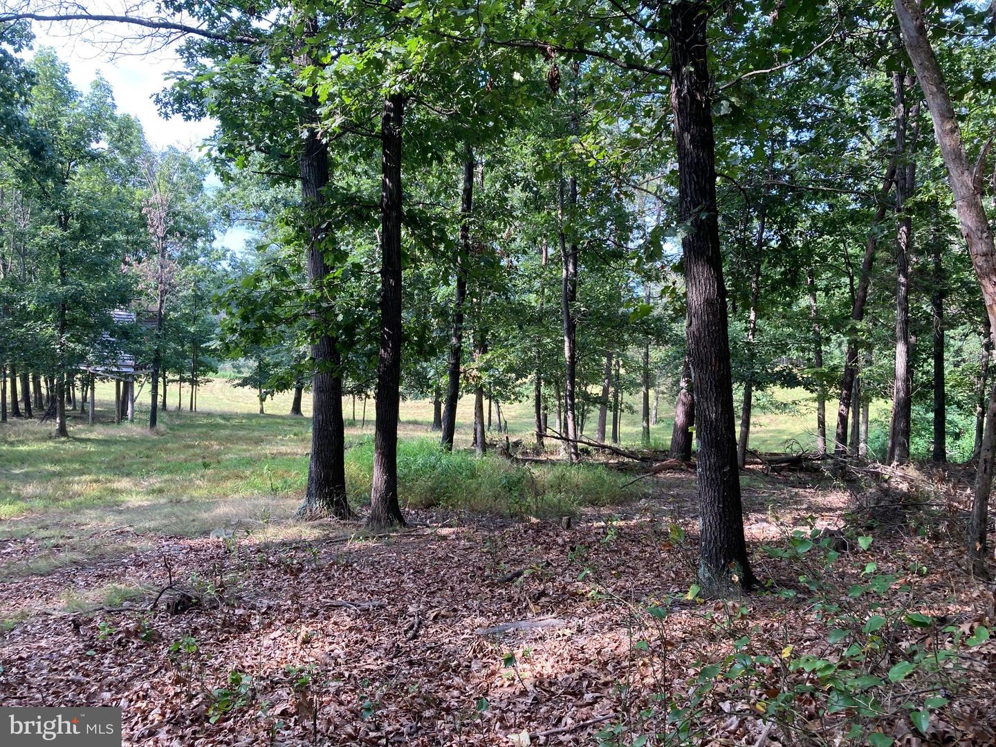 000 LIGHT RD, WINCHESTER, Virginia 22603, ,Land,For sale,000 LIGHT RD,VAFV2036190 MLS # VAFV2036190