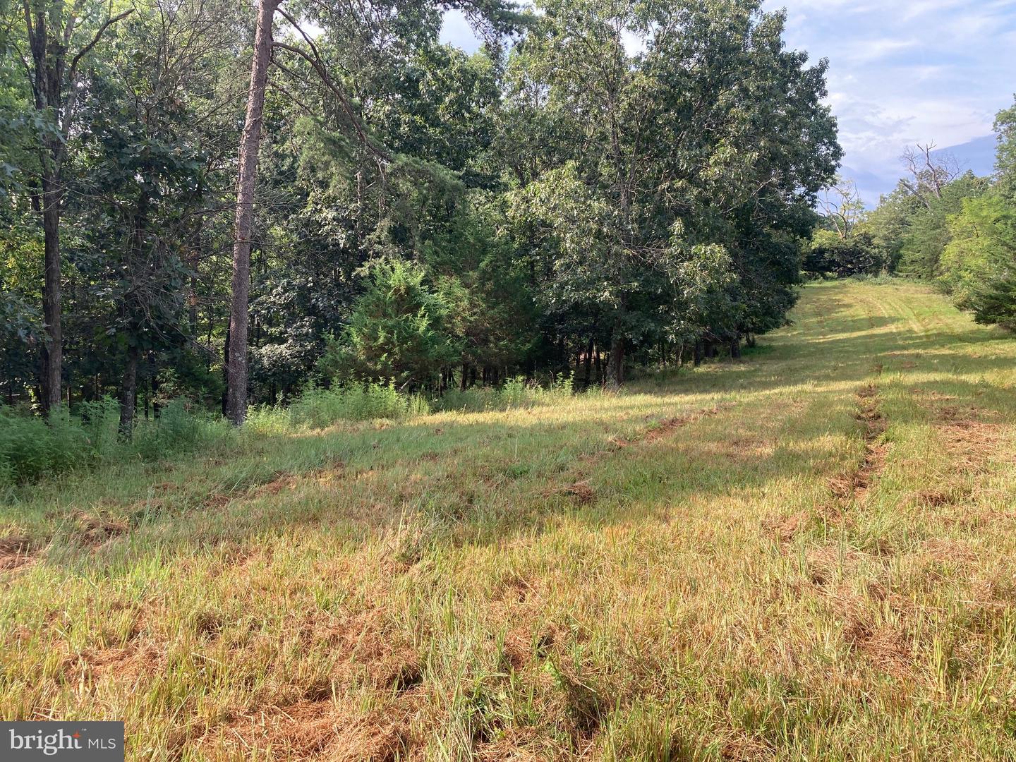 000 LIGHT RD, WINCHESTER, Virginia 22603, ,Land,For sale,000 LIGHT RD,VAFV2036190 MLS # VAFV2036190