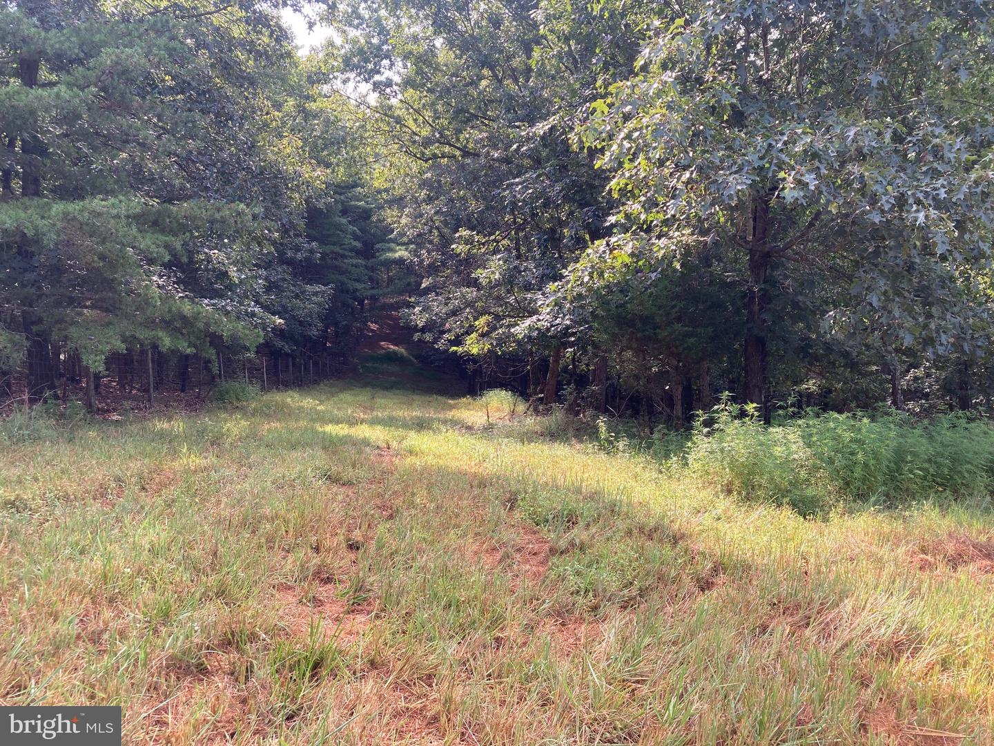 000 LIGHT RD, WINCHESTER, Virginia 22603, ,Land,For sale,000 LIGHT RD,VAFV2036190 MLS # VAFV2036190