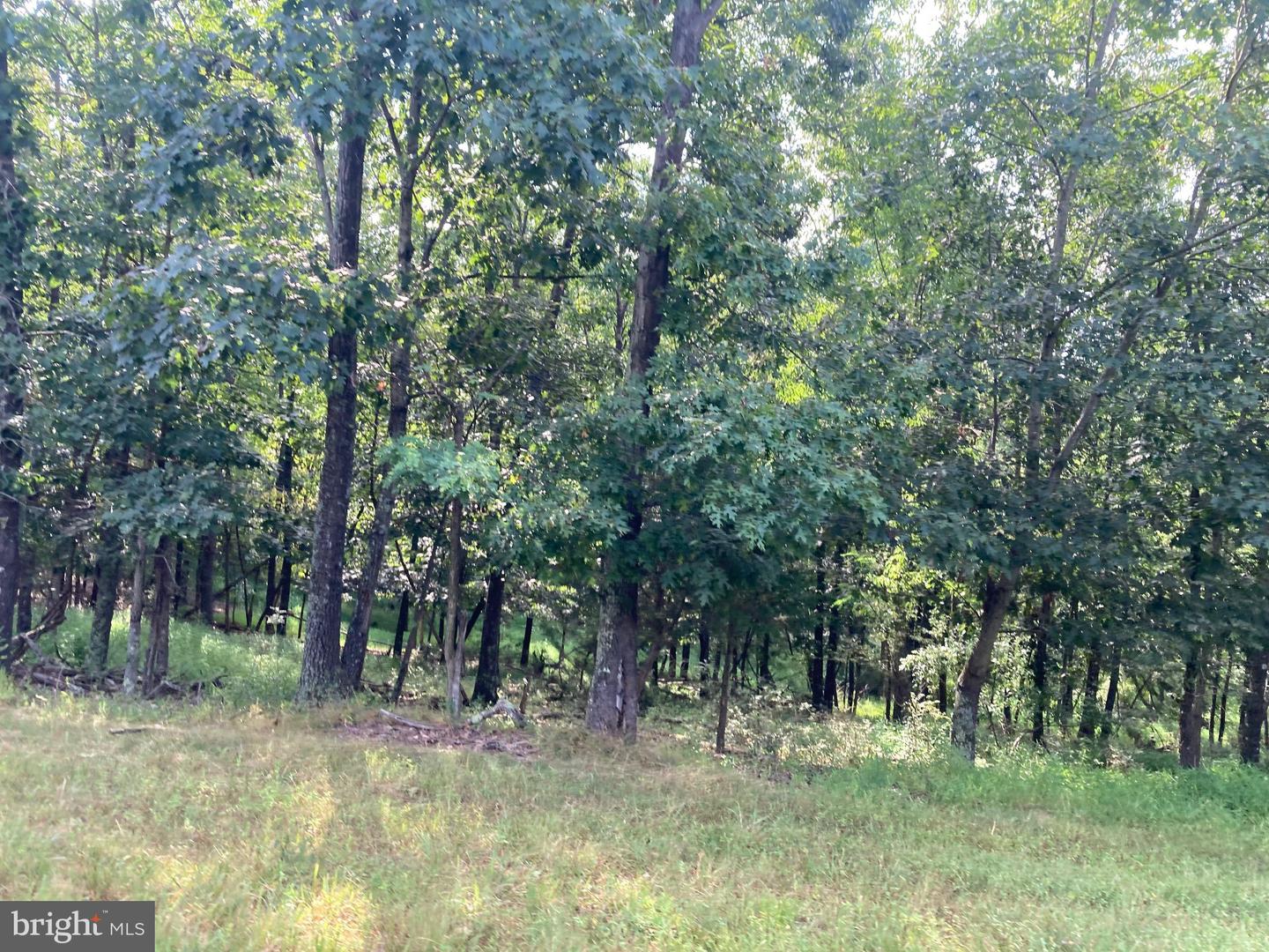 000 LIGHT RD, WINCHESTER, Virginia 22603, ,Land,For sale,000 LIGHT RD,VAFV2036190 MLS # VAFV2036190