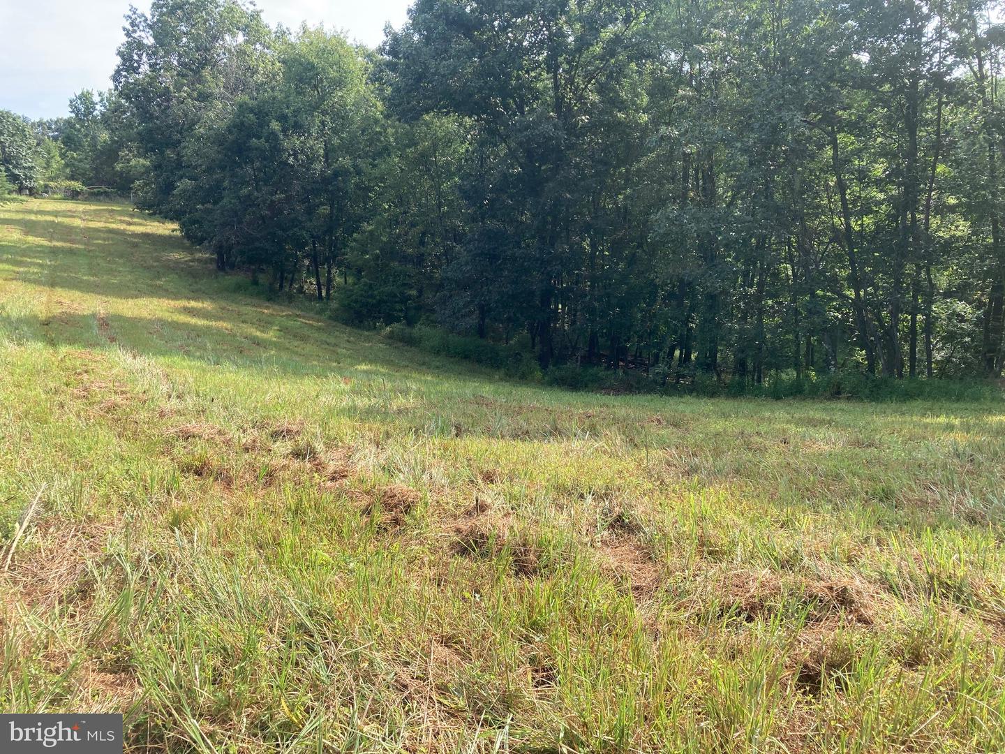 000 LIGHT RD, WINCHESTER, Virginia 22603, ,Land,For sale,000 LIGHT RD,VAFV2036190 MLS # VAFV2036190