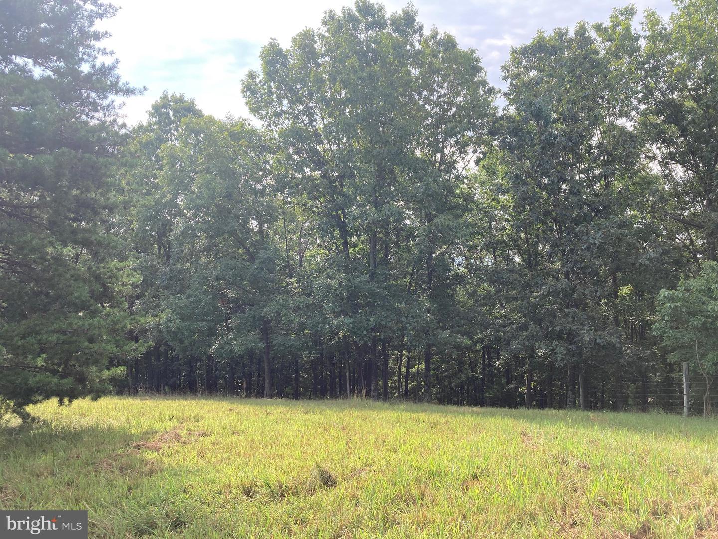 000 LIGHT RD, WINCHESTER, Virginia 22603, ,Land,For sale,000 LIGHT RD,VAFV2036190 MLS # VAFV2036190