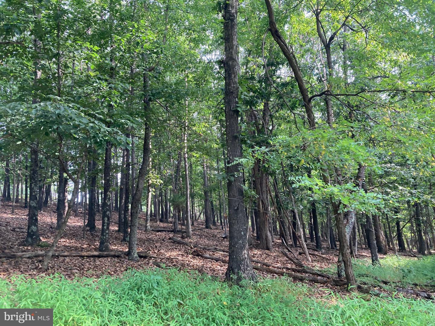 000 LIGHT RD, WINCHESTER, Virginia 22603, ,Land,For sale,000 LIGHT RD,VAFV2036190 MLS # VAFV2036190