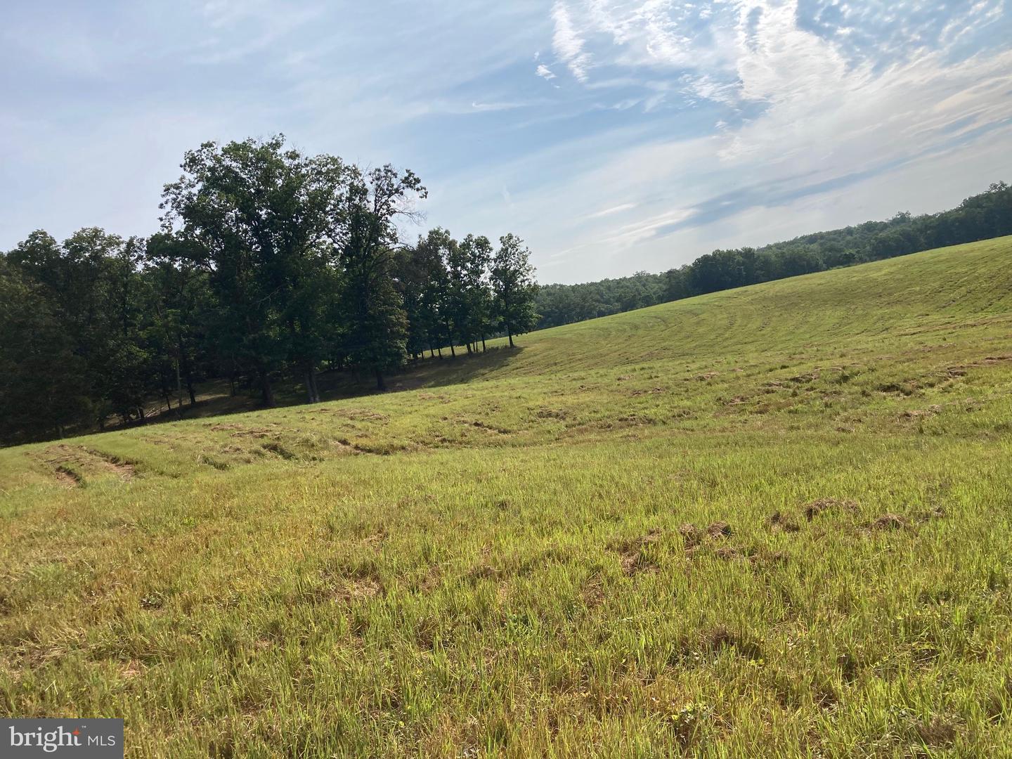 000 LIGHT RD, WINCHESTER, Virginia 22603, ,Land,For sale,000 LIGHT RD,VAFV2036190 MLS # VAFV2036190