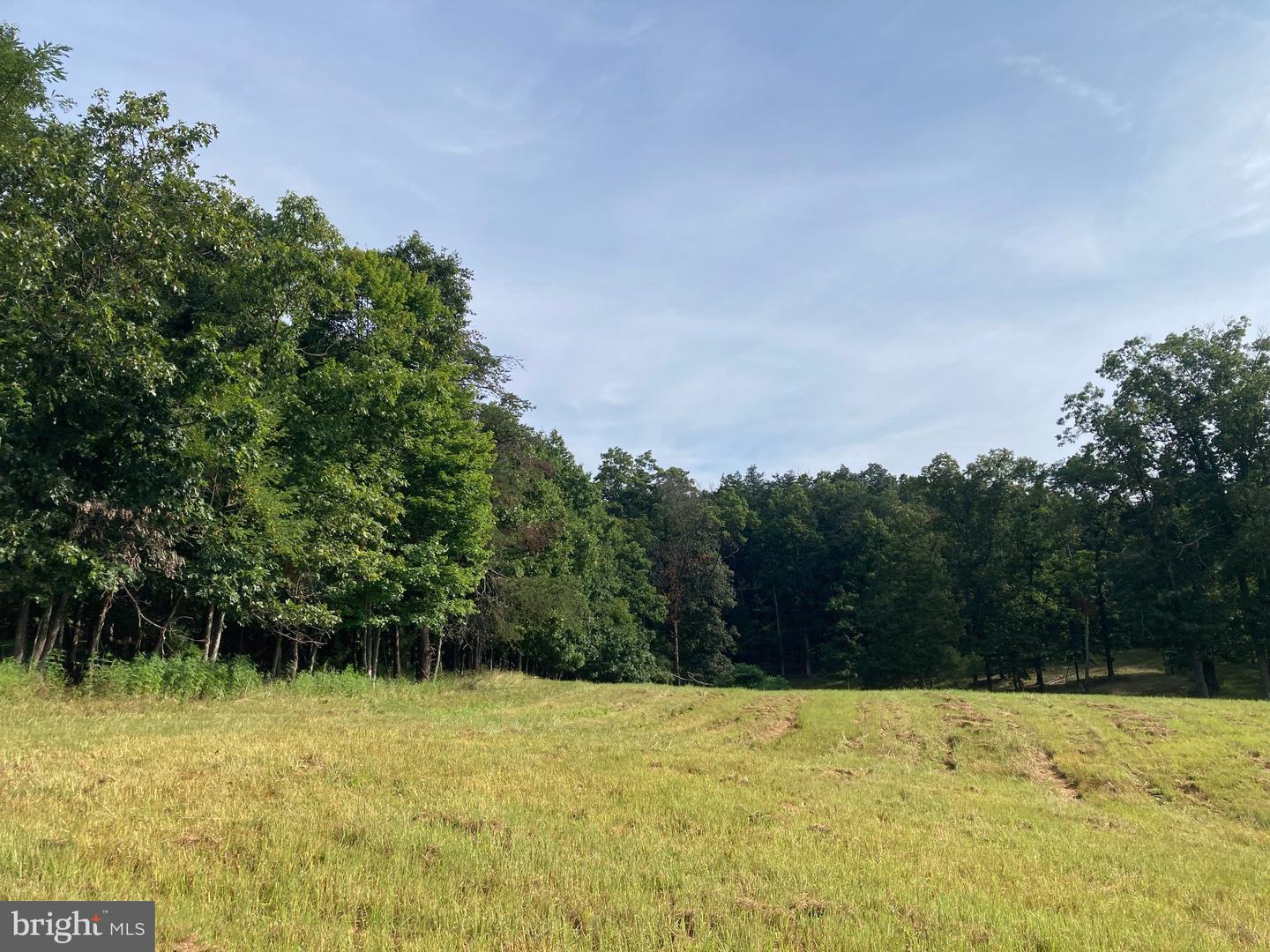 000 LIGHT RD, WINCHESTER, Virginia 22603, ,Land,For sale,000 LIGHT RD,VAFV2036190 MLS # VAFV2036190
