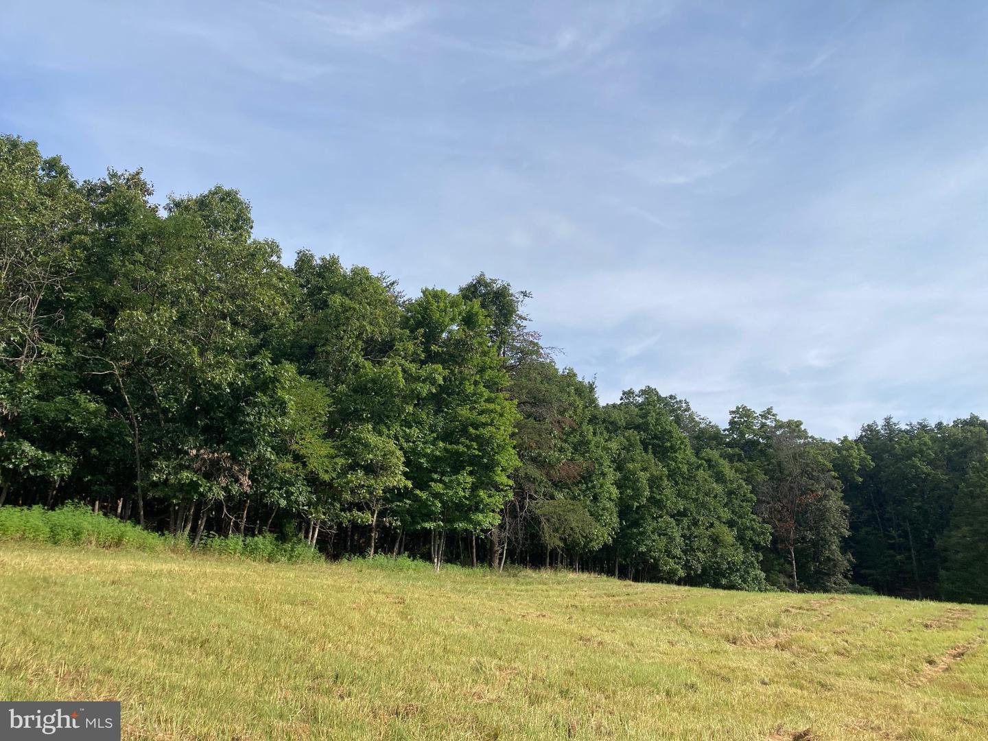 000 LIGHT RD, WINCHESTER, Virginia 22603, ,Land,For sale,000 LIGHT RD,VAFV2036190 MLS # VAFV2036190