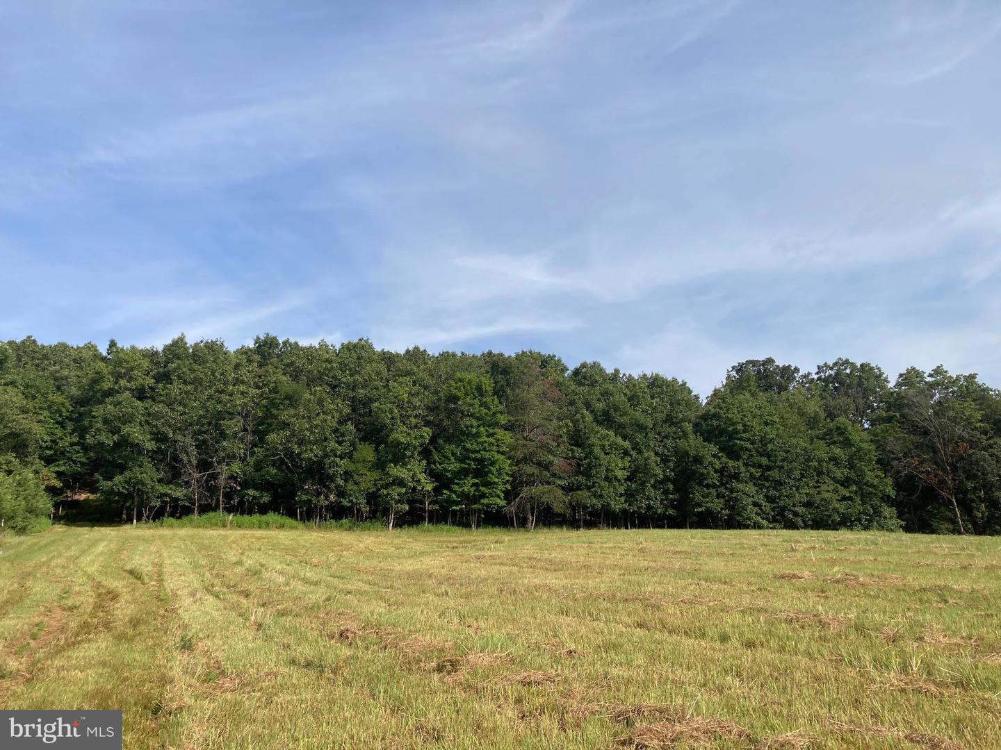 000 LIGHT RD, WINCHESTER, Virginia 22603, ,Land,For sale,000 LIGHT RD,VAFV2036190 MLS # VAFV2036190