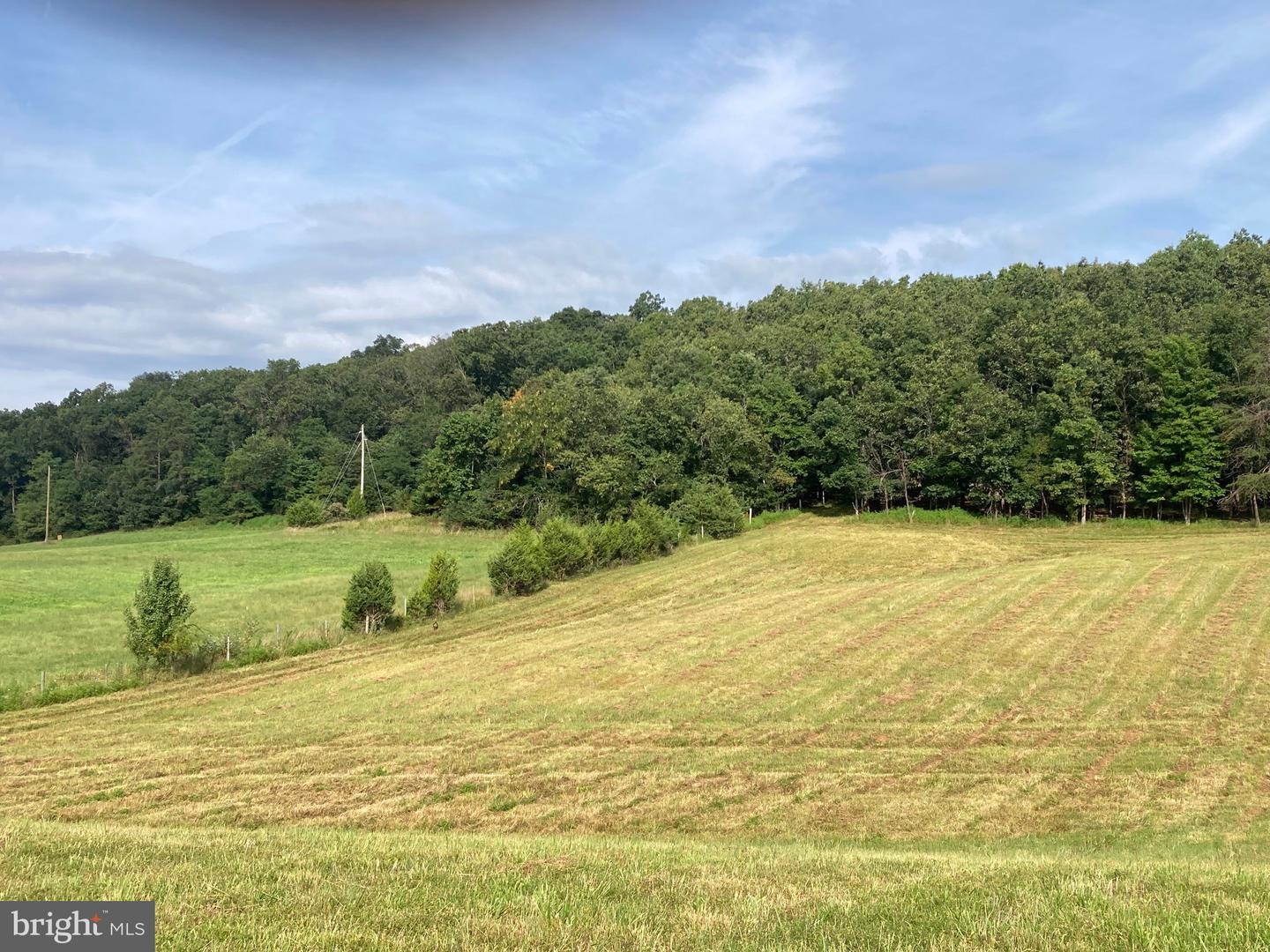 000 LIGHT RD, WINCHESTER, Virginia 22603, ,Land,For sale,000 LIGHT RD,VAFV2036190 MLS # VAFV2036190