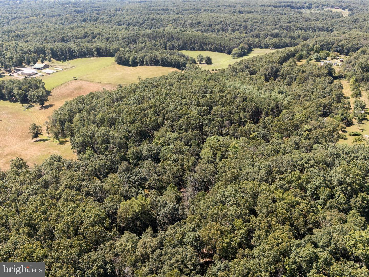 000 LIGHT RD, WINCHESTER, Virginia 22603, ,Land,For sale,000 LIGHT RD,VAFV2036190 MLS # VAFV2036190