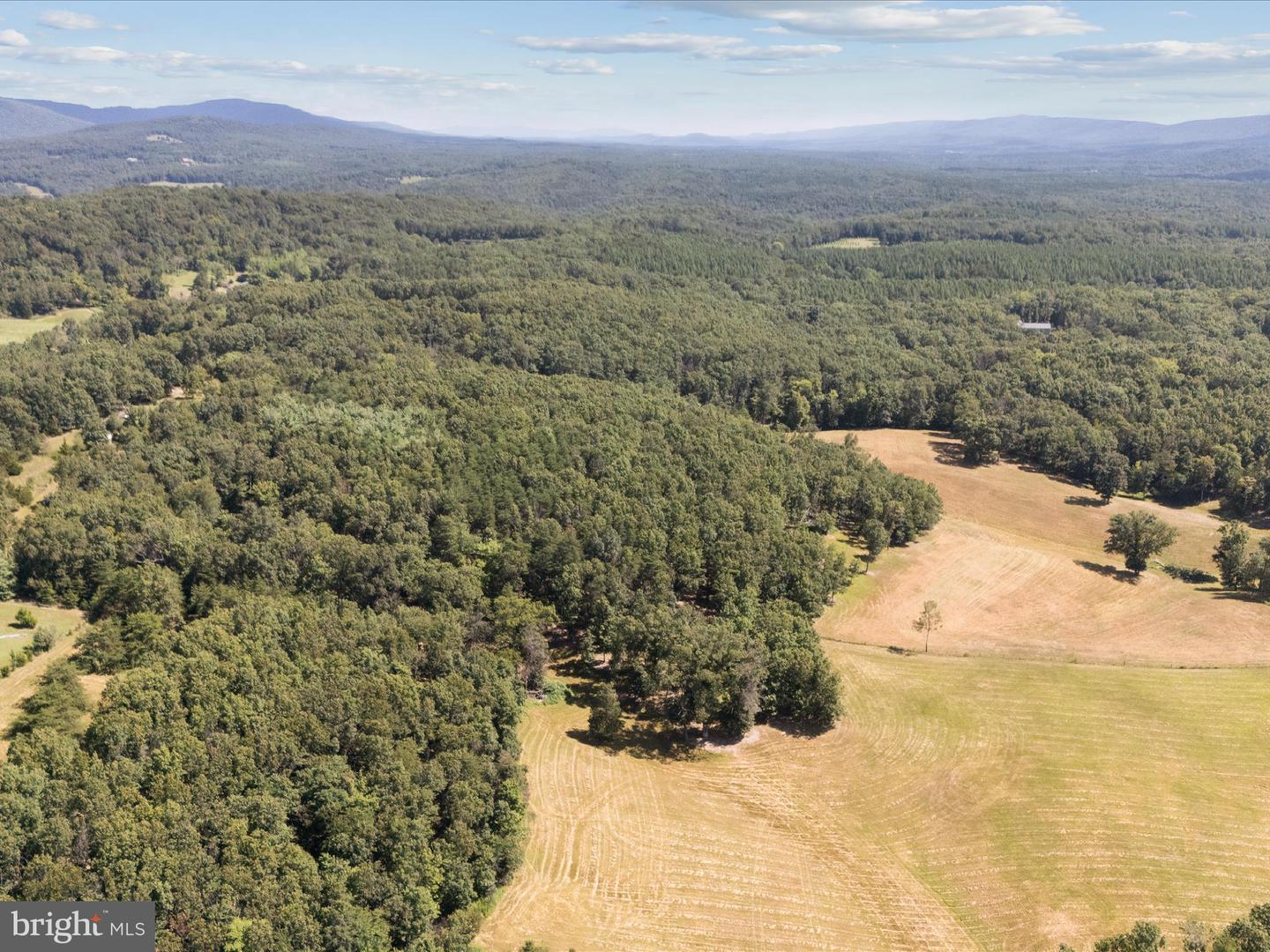 000 LIGHT RD, WINCHESTER, Virginia 22603, ,Land,For sale,000 LIGHT RD,VAFV2036190 MLS # VAFV2036190