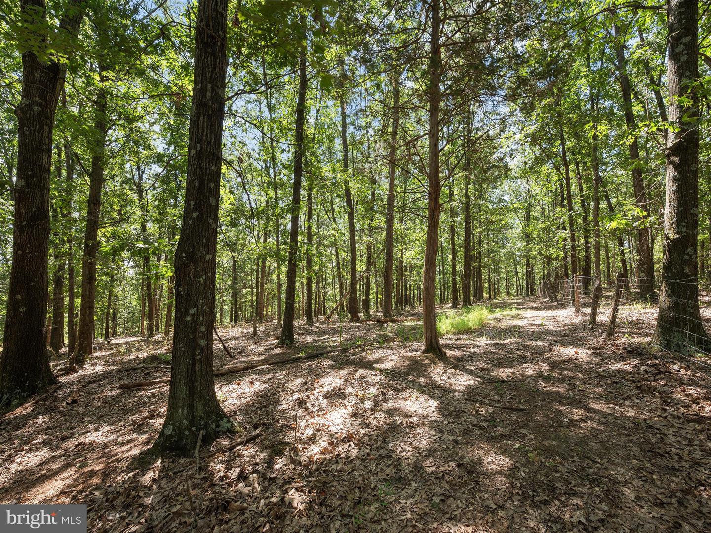 000 LIGHT RD, WINCHESTER, Virginia 22603, ,Land,For sale,000 LIGHT RD,VAFV2036190 MLS # VAFV2036190
