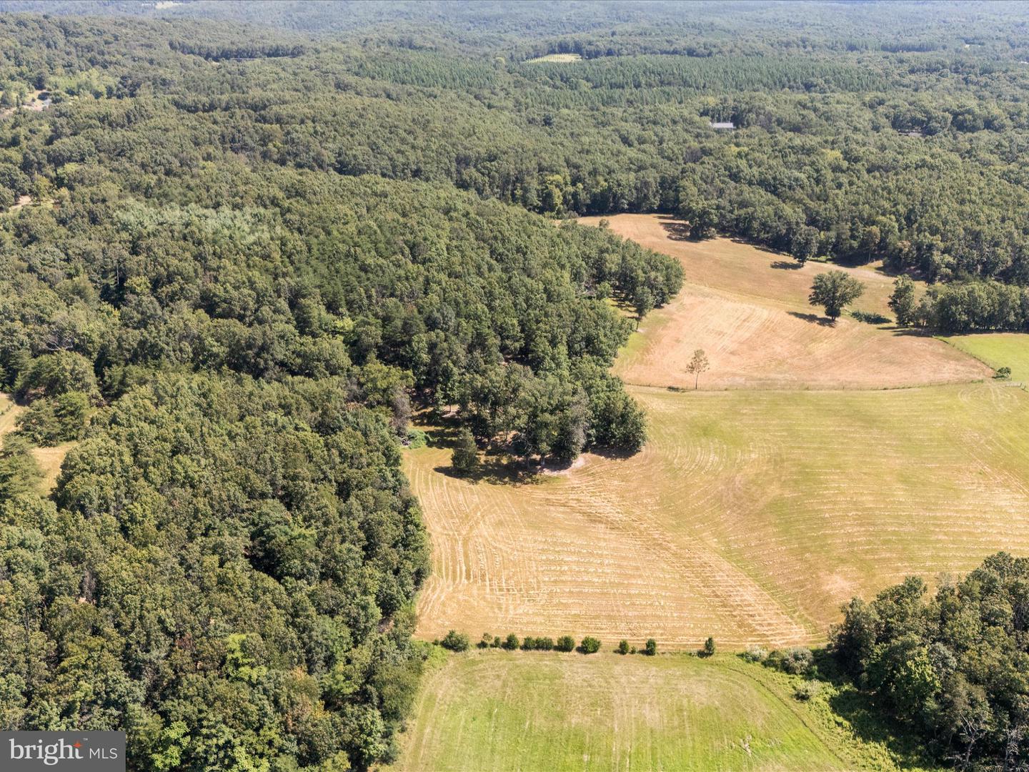 000 LIGHT RD, WINCHESTER, Virginia 22603, ,Land,For sale,000 LIGHT RD,VAFV2036190 MLS # VAFV2036190