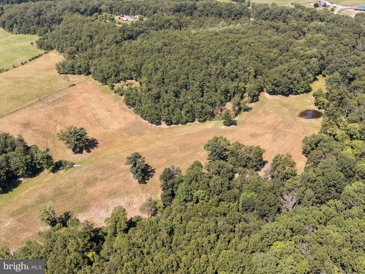 000 LIGHT RD, WINCHESTER, Virginia 22603, ,Land,For sale,000 LIGHT RD,VAFV2036190 MLS # VAFV2036190