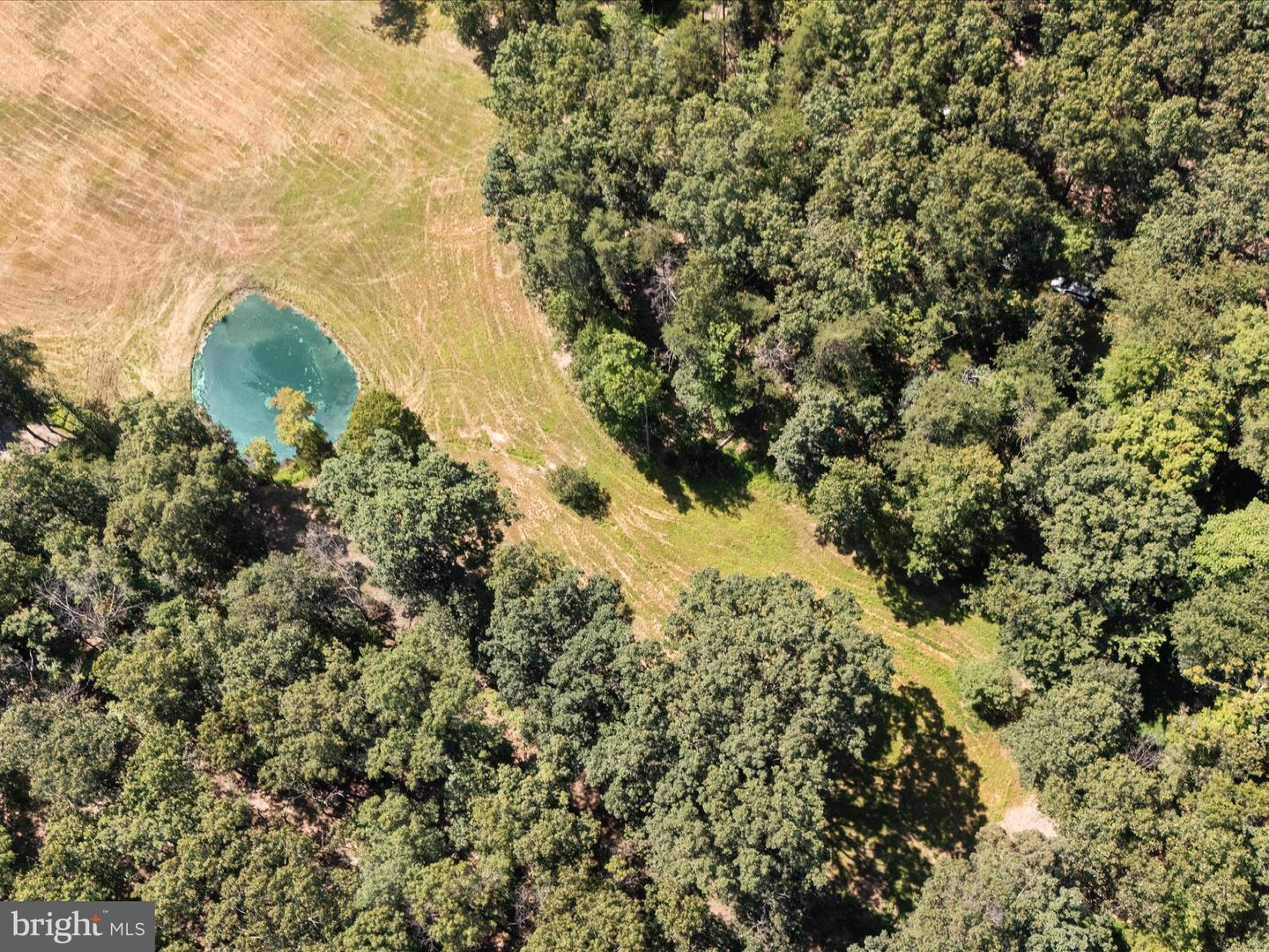 000 LIGHT RD, WINCHESTER, Virginia 22603, ,Land,For sale,000 LIGHT RD,VAFV2036190 MLS # VAFV2036190