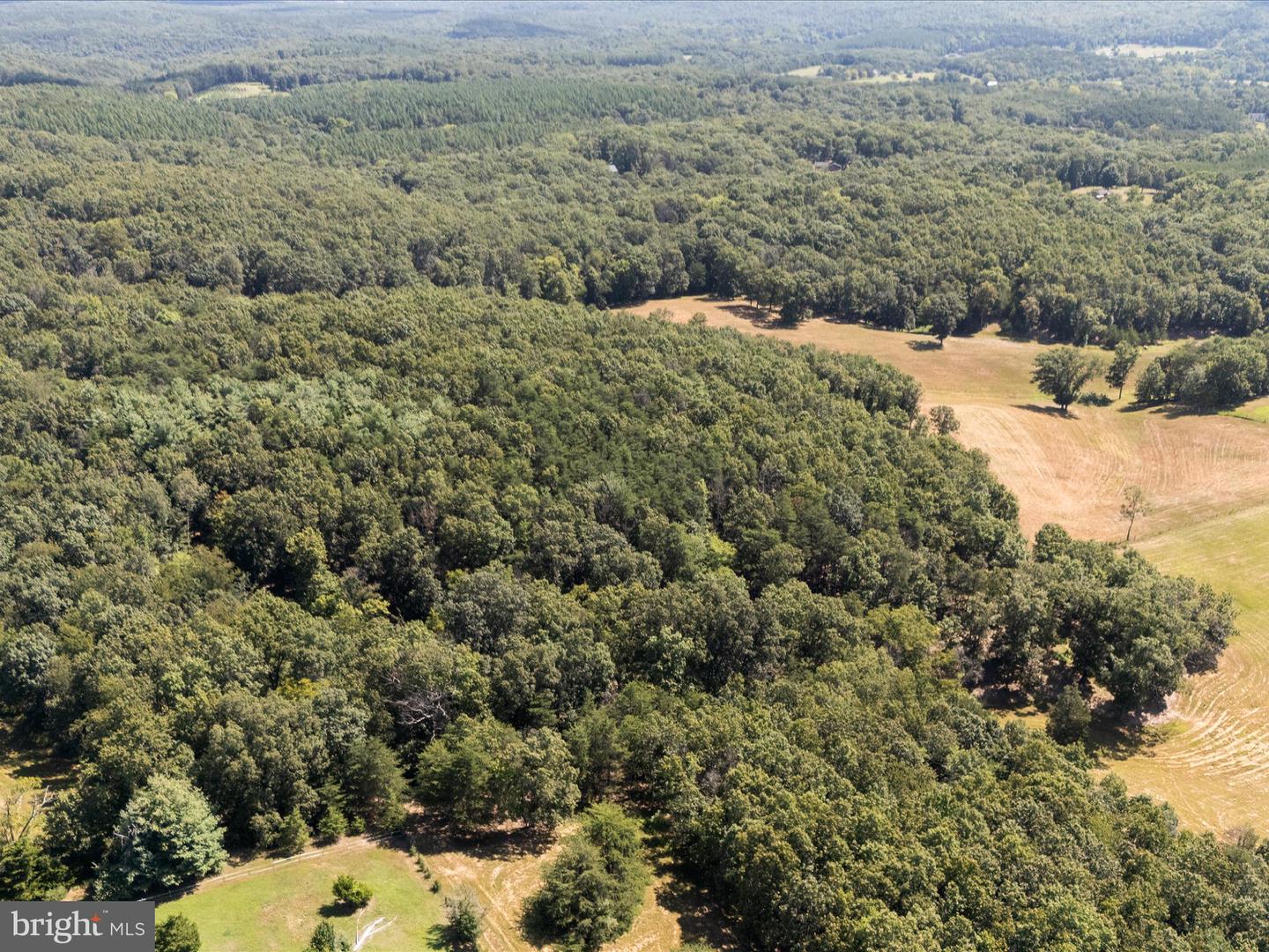 000 LIGHT RD, WINCHESTER, Virginia 22603, ,Land,For sale,000 LIGHT RD,VAFV2036190 MLS # VAFV2036190