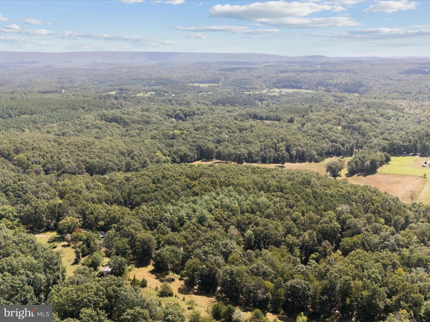 000 LIGHT RD, WINCHESTER, Virginia 22603, ,Land,For sale,000 LIGHT RD,VAFV2036190 MLS # VAFV2036190