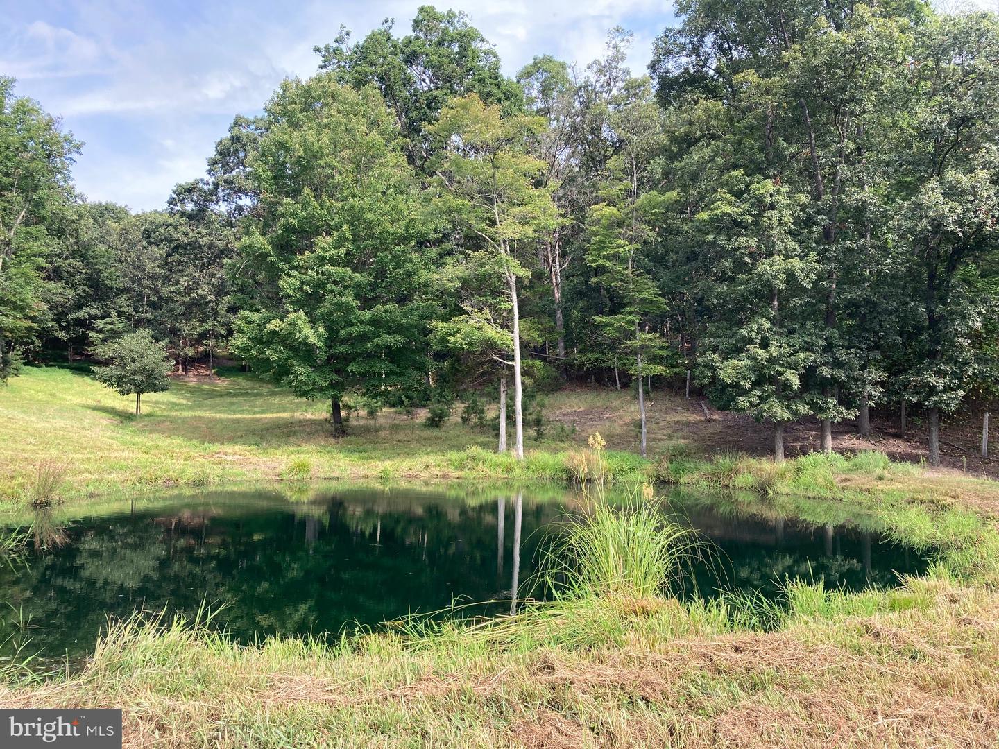 000 LIGHT RD, WINCHESTER, Virginia 22603, ,Land,For sale,000 LIGHT RD,VAFV2036190 MLS # VAFV2036190