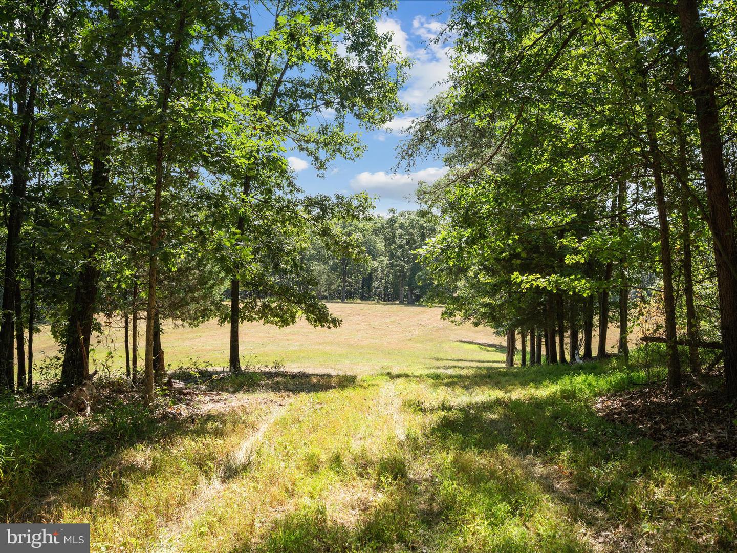 000 LIGHT RD, WINCHESTER, Virginia 22603, ,Land,For sale,000 LIGHT RD,VAFV2036190 MLS # VAFV2036190