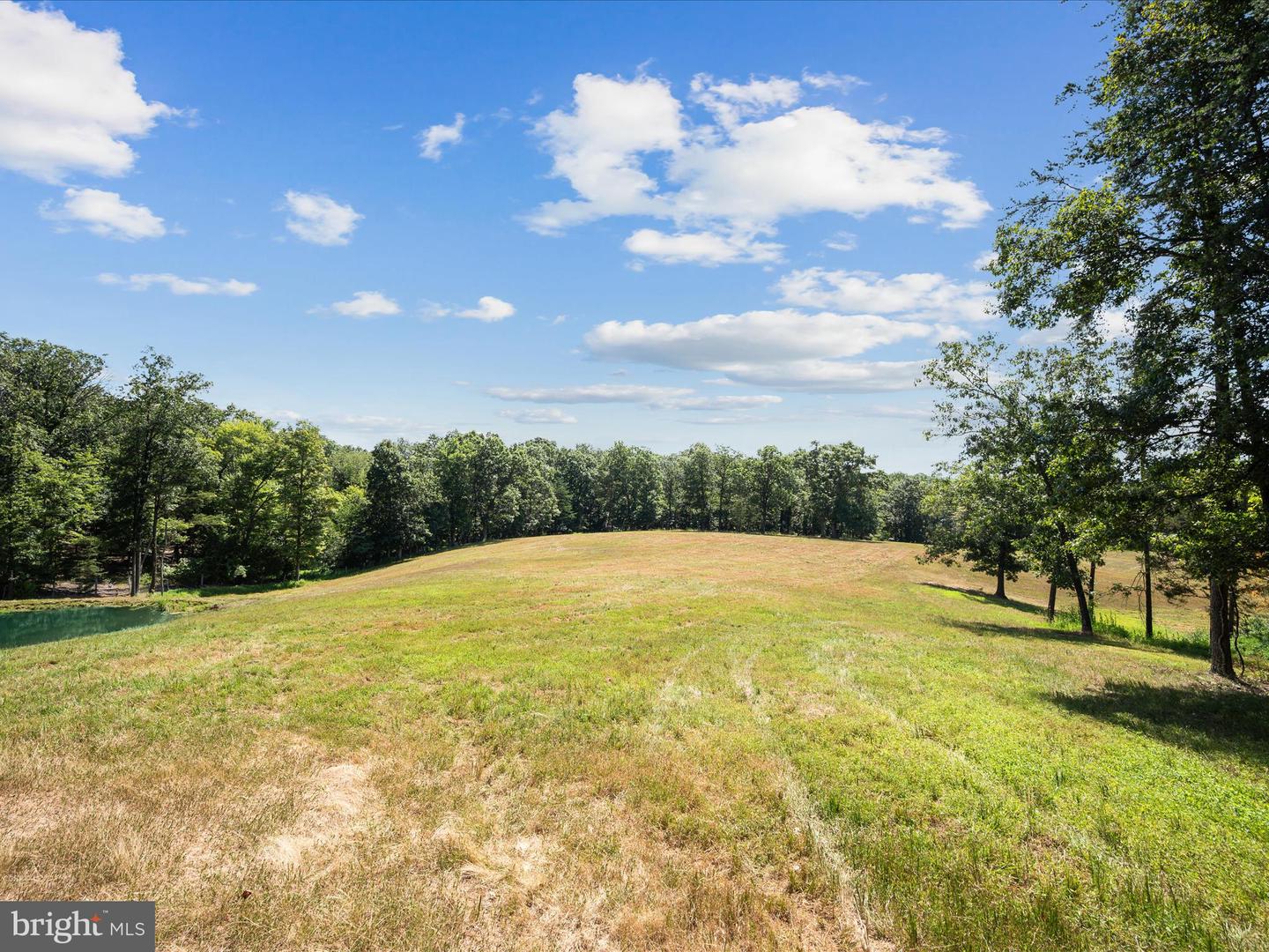 000 LIGHT RD, WINCHESTER, Virginia 22603, ,Land,For sale,000 LIGHT RD,VAFV2036190 MLS # VAFV2036190