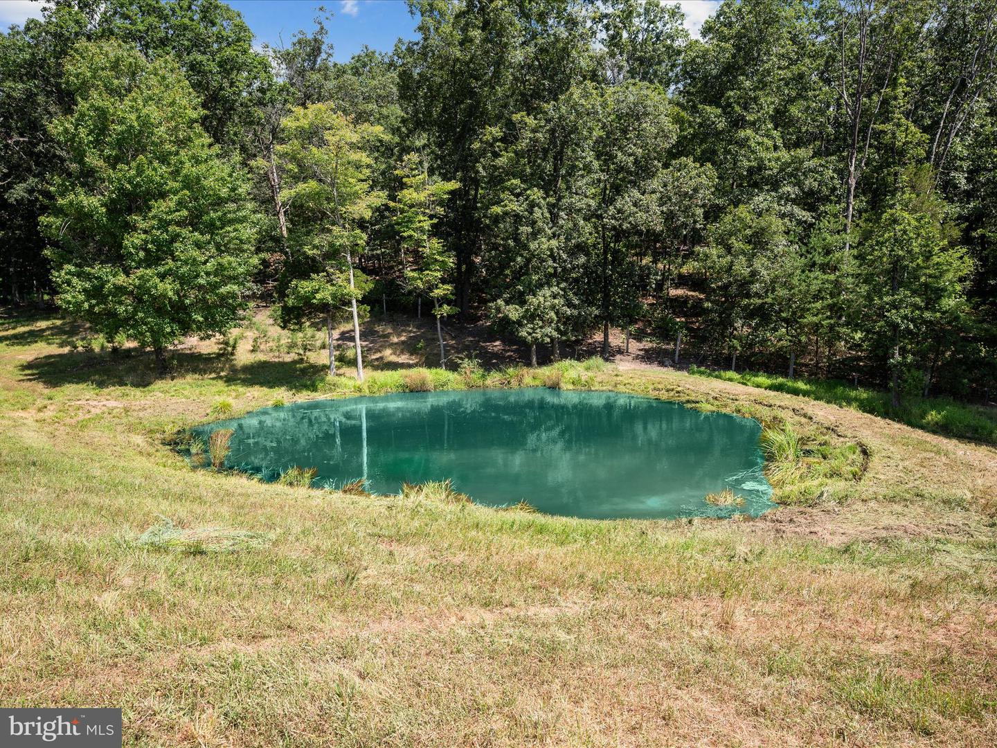 000 LIGHT RD, WINCHESTER, Virginia 22603, ,Land,For sale,000 LIGHT RD,VAFV2036190 MLS # VAFV2036190