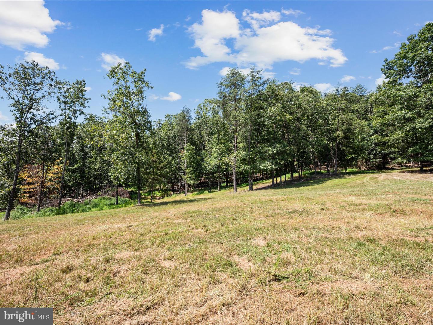 000 LIGHT RD, WINCHESTER, Virginia 22603, ,Land,For sale,000 LIGHT RD,VAFV2036190 MLS # VAFV2036190