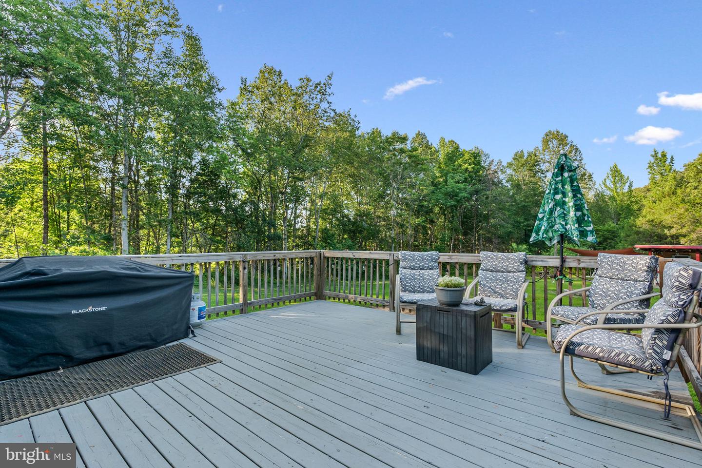 11925 BELFONTE RD, BUMPASS, Virginia 23024, 3 Bedrooms Bedrooms, ,2 BathroomsBathrooms,Residential,For sale,11925 BELFONTE RD,VASP2033836 MLS # VASP2033836