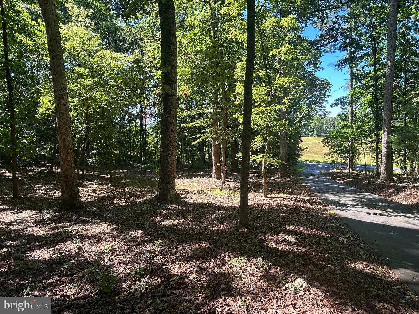 5205 WEST HOOVER RD, REVA, Virginia 22735, 4 Bedrooms Bedrooms, ,4 BathroomsBathrooms,Residential,For sale,5205 WEST HOOVER RD,VAMA2002386 MLS # VAMA2002386