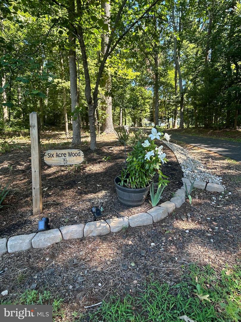 5205 WEST HOOVER RD, REVA, Virginia 22735, 4 Bedrooms Bedrooms, ,4 BathroomsBathrooms,Residential,For sale,5205 WEST HOOVER RD,VAMA2002386 MLS # VAMA2002386