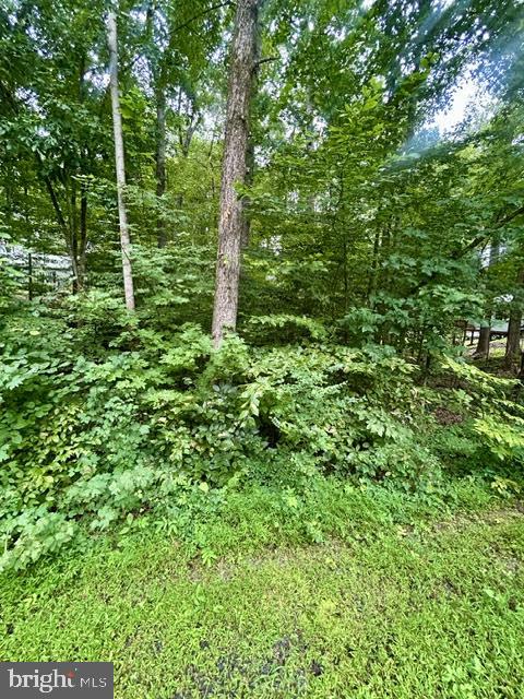 LOT 385 & 957 N LAKESHORE DR, LOUISA, Virginia 23093, ,Land,For sale,LOT 385 & 957 N LAKESHORE DR,VALA2008462 MLS # VALA2008462