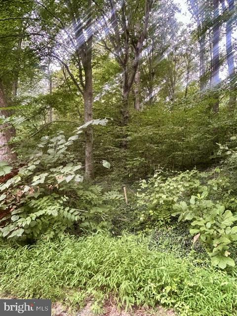 LOT 385 & 957 N LAKESHORE DR, LOUISA, Virginia 23093, ,Land,For sale,LOT 385 & 957 N LAKESHORE DR,VALA2008462 MLS # VALA2008462
