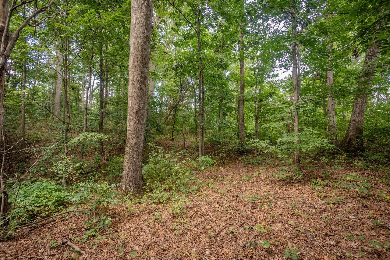 1557 RINACAS CORNER RD, SHENANDOAH, Virginia 22849, 2 Bedrooms Bedrooms, ,1 BathroomBathrooms,Residential,1557 RINACAS CORNER RD,668057 MLS # 668057