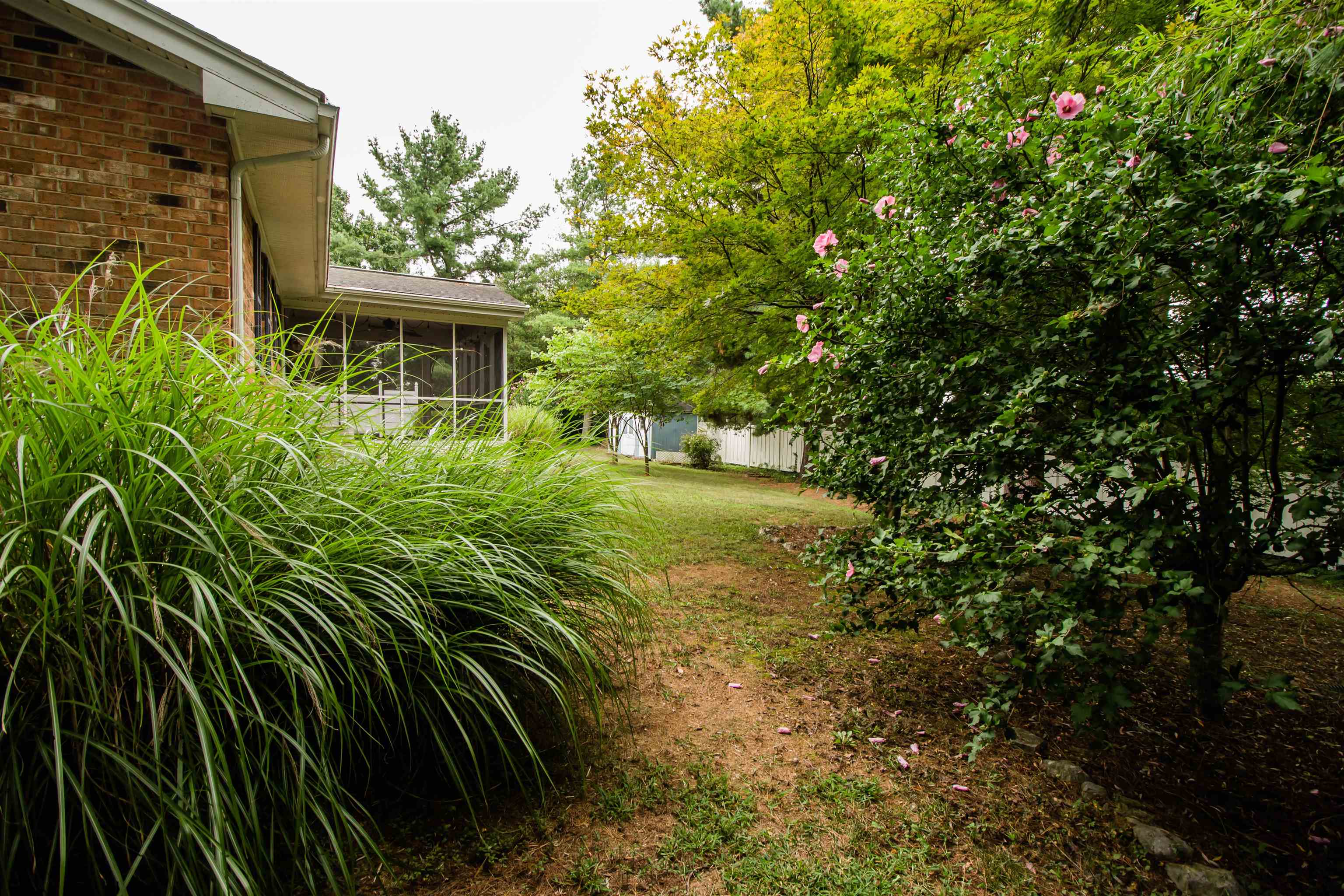 16 TAMELA CT, HARRISONBURG, Virginia 22801, 3 Bedrooms Bedrooms, ,2 BathroomsBathrooms,Residential,16 TAMELA CT,668061 MLS # 668061