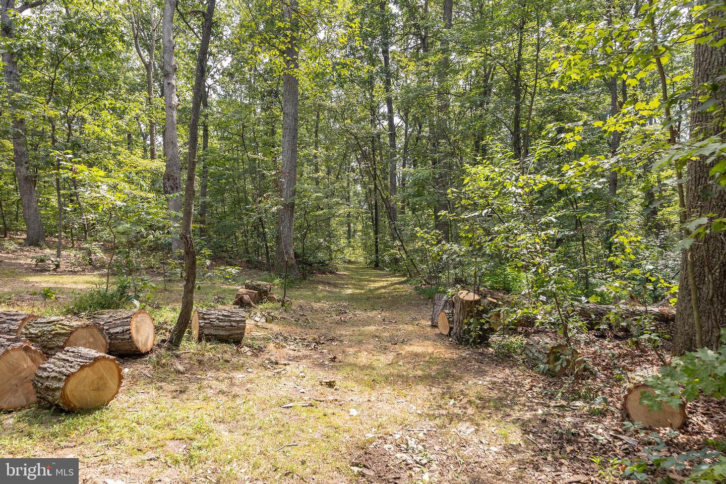 262 CONNER LN, WINCHESTER, Virginia 22602, 3 Bedrooms Bedrooms, ,2 BathroomsBathrooms,Residential,For sale,262 CONNER LN,VAFV2036222 MLS # VAFV2036222