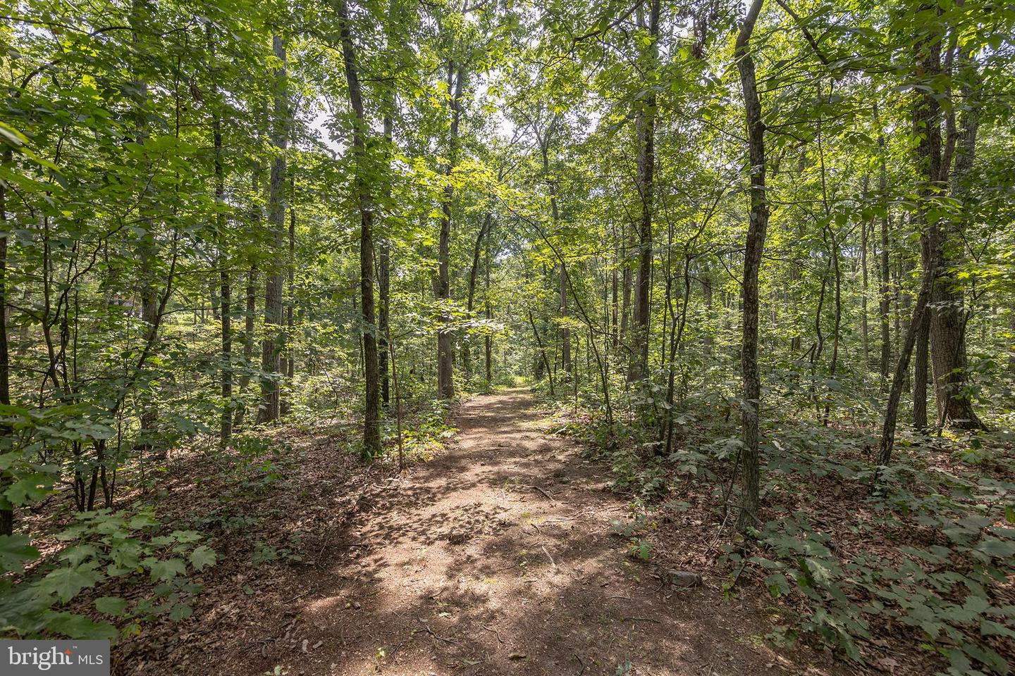 262 CONNER LN, WINCHESTER, Virginia 22602, 3 Bedrooms Bedrooms, ,2 BathroomsBathrooms,Residential,For sale,262 CONNER LN,VAFV2036222 MLS # VAFV2036222