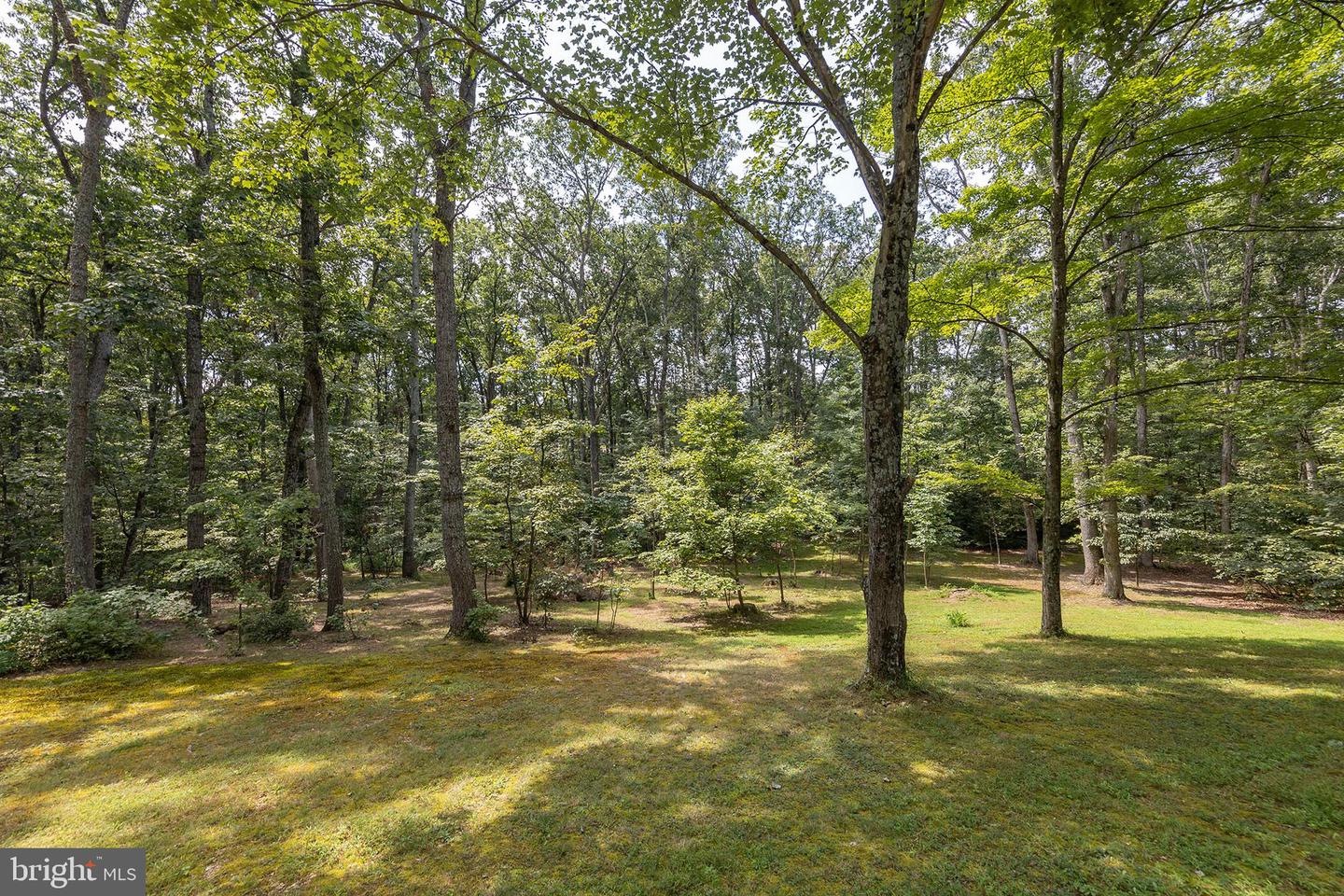 262 CONNER LN, WINCHESTER, Virginia 22602, 3 Bedrooms Bedrooms, ,2 BathroomsBathrooms,Residential,For sale,262 CONNER LN,VAFV2036222 MLS # VAFV2036222