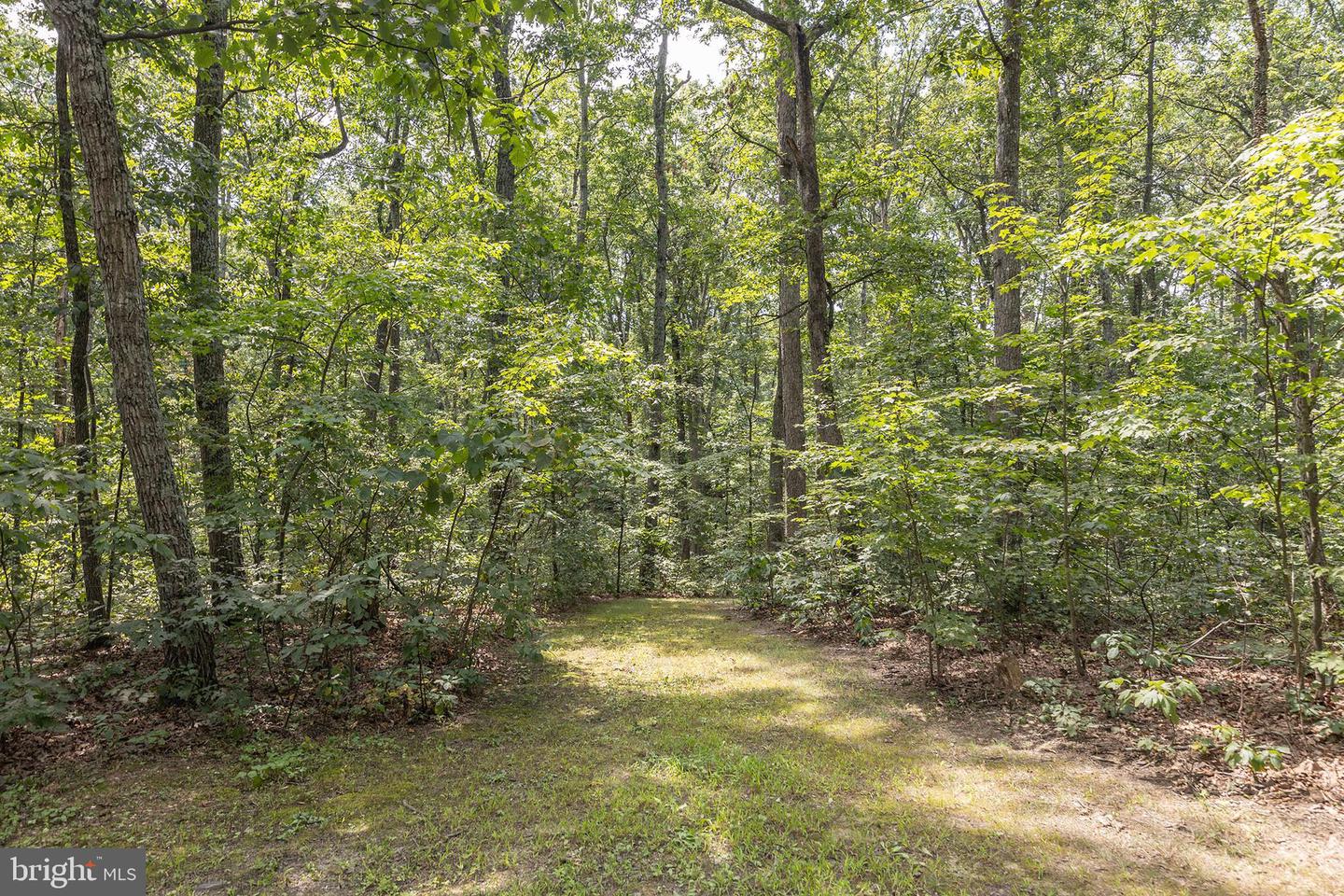 262 CONNER LN, WINCHESTER, Virginia 22602, 3 Bedrooms Bedrooms, ,2 BathroomsBathrooms,Residential,For sale,262 CONNER LN,VAFV2036222 MLS # VAFV2036222