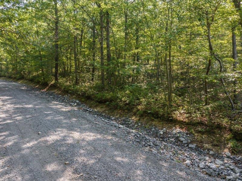 SCENIC HILLS DR, WAYNESBORO, Virginia 22980, ,Land,SCENIC HILLS DR,668097 MLS # 668097