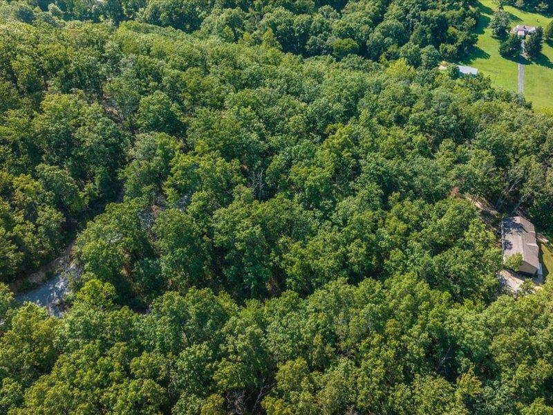 SCENIC HILLS DR, WAYNESBORO, Virginia 22980, ,Land,SCENIC HILLS DR,668097 MLS # 668097